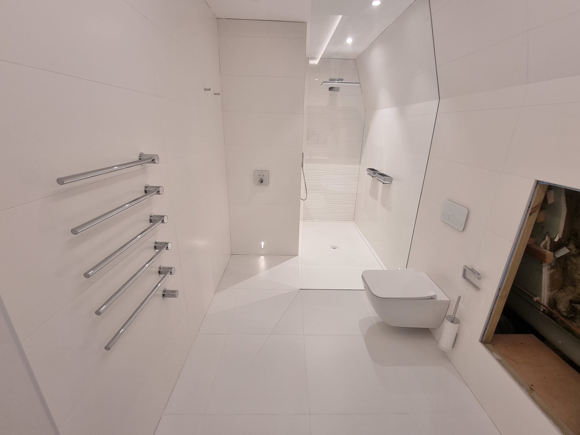 Contemporary all-white bathroom with walk-in shower and wall-hung WC